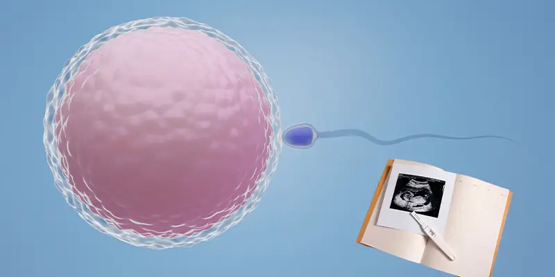 Pruebas infecciosas y controles obligatorios en las madres gestantes